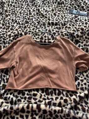Aerie Classic Cropped Crewneck Top - Rust